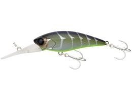 WbJ JK fB[rVbh55MR #oo^N݃N[