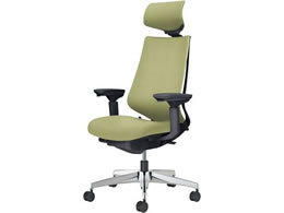 �R�N�� �`�F�A �f���I��2 �A���~�r �N�b�V���� �O���X�O���[��