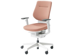 RN CO NbVw IL VLX^[ CRGW3213E1G49GV