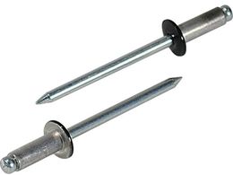 �G�r/�J���[���x�b�g (1000�{��)