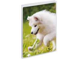 �Z�L�Z�C �~�j�|�P �t�H�g�A���o�� ������ KG�T�C�Y(�n�K�L�T�C�Y) �^�e