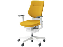 RN CO NbVw IL VLX^[ CRGW3213E1G41SV