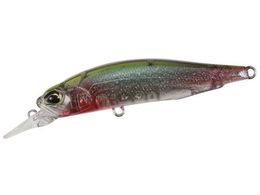 デュオ レアリス ロザンテ 63sp Ccc3262 スケルトンタナゴ Forestway 通販フォレストウェイ デュオ レアリス ロザンテ 63sp Ccc3262 スケルトンタナゴ Forestway 通販フォレストウェイ