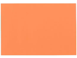 �剤���� �Đ��F��p�� 8�c�� 10�� ��������