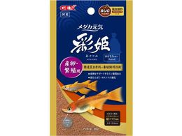 WFbNX _JC ʕP YEɐBp 40g 31263