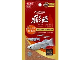 WFbNX _JC ʕP p 40g 31272