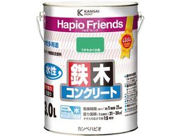 �J���y�n�s�I �n�s�I�t�����Y �����킩�����F 3L