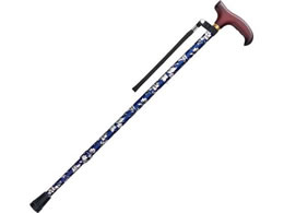 tWz[ XebLx[VbN LkS ԕ