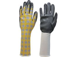 _bv }CgK[f ۂ w O S 6619