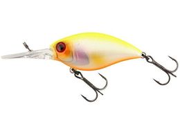 WbJ JK ubNbp[ 48MR #`[gobNp[