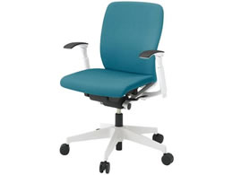 Cg[L tS`FA [obN I iCLX^[ WH SBL