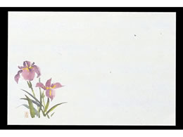 �}�C�� �l�G�� ��� 100���� M30-207 ����� 6068500