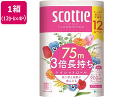 NVA XRbeB t[pbN 3{_u75m 12[~4pbN