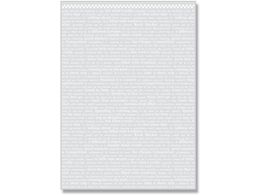 wCR[ OPP NX^pbN SS `FbJ[ 50 006775662