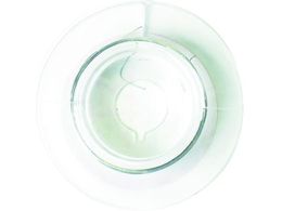 �_�C�h�[�n���g/�X�������C���[