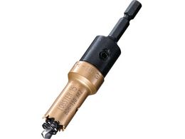 �G�r/�o�C���^���z���\�[  �Z�p��