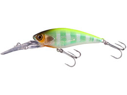 WbJ fB[rVbh55SR #POL`[gobNu[M