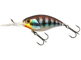 WbJ JK ubNbp[ 48MR #ERz`M