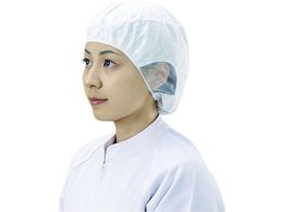 �V���K�[/�V���K�[�d�ΖX