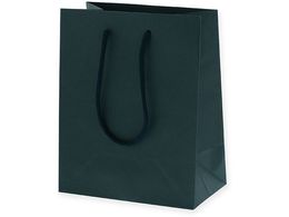 �w�C�R�[ ��񂰎��� �J���[�`���[���o�b�O 20-12 �� 10��