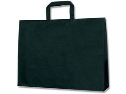 wCR[ 񂰑 FobO L  10 008739101