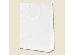 wCR[ 񂰎 uCgobO G2  10 006138001