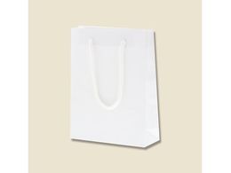 wCR[ 񂰎 uCgobO MM  10 006138301