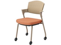 RN cCX vbeB LX^[^Cv K17Z22CG0Y1K2