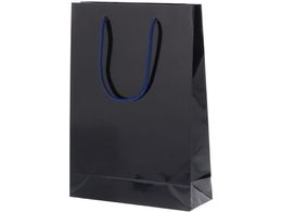 �w�C�R�[ ��񂰎��� �u���C�g�o�b�O SWT ���� 10�� 006138223