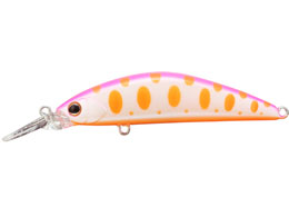 WbJ TM gR[GT56MD-F #MBsN