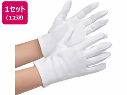 ~hS iǗp ȃXX }`t M 12o