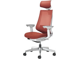 �R�N�� �`�F�A �f���I��2 �A���~�r ���b�V�� �p�[�V�A�����b�h