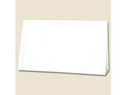 wCR[ 񂰎 L`[obO BR-2 n 10