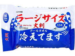 ii̖{ ₦Ă܂ 唻N[^I[WTCY 12