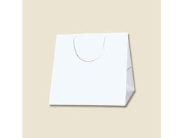 �w�C�R�[ ��񂰎��� �u���C�g�o�b�O C0 �� 10�� 006459400