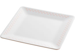 GebN XNGAv[g 20 sN 2TONE CH-12P