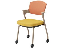 RN cCX vbeB LX^[^Cv K17Z22CG1S0Y2