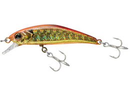 WbJ TM gR[c43HW #TCgAJL