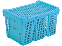 Ob TR[ Tei[ A#39p W u[ PP 8211700