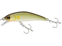 WbJ TM gR[c43HW #p[A