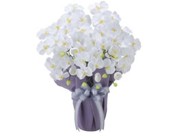 t@~[ECt ̊y G}H A[gt[ Ӓ 5{