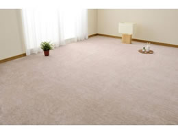  Y ~lJ[ybg E ]ˊ4.5 x[W