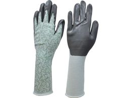 _bv }CgK[f ނ w O M 6622