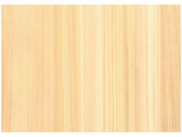 EBM VR؃V[g O A5 10 1221980