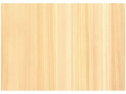 EBM VR؃V[g O A4 10 1222070