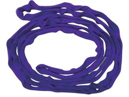 TESAC �u���[�X�����O�\�t�gN�`(�G���h���X�^�C�v)�׏d1t �S��1m