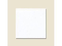 �o�[�K�[�� 16 �����n 100�� 004738208