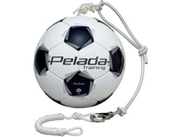 e y[_g[jO ebT[ F5K9300