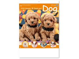 V{J_[ TL[EhbO NK8454