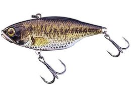 WbJ TN60 t^OXe #RTERz oX